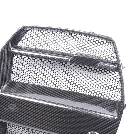 DRY Carbon Fiber ST Style Front Bumper Grille I G80 G81 G82 G83