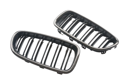 Carbon Fiber Grilles I F10 F11
